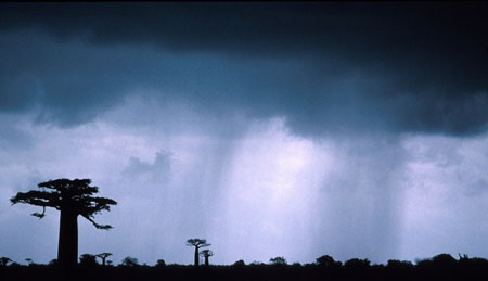 Sous un ciel d'orage