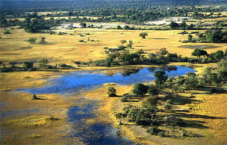 Delta de l'okavango