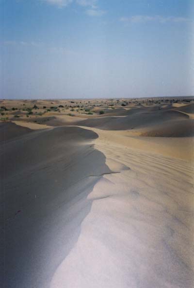 D�sert Jaisalmer