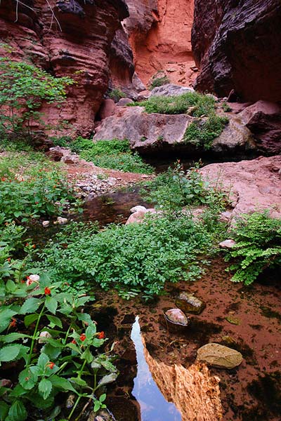 Le canyon cach�