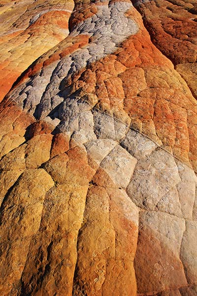 D�tail de Yellow Rock