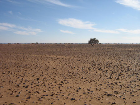 D�sert volcanique