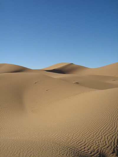 Dunes sahariennes