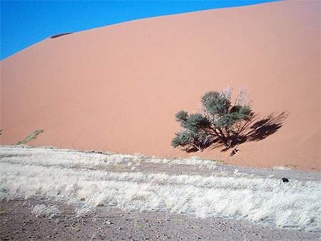 Ciel d'hiver sur le Namib