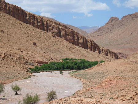 Oasis