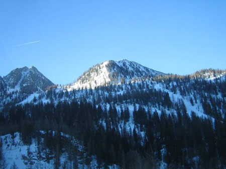 Montagnes et sapins enneig�s
