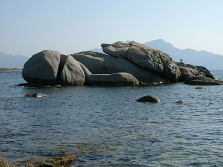 Punta di espano