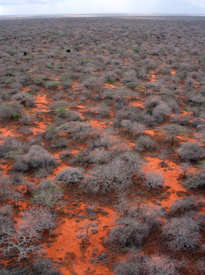 Terres rouges