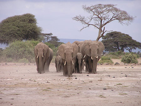 Promenade en famille 