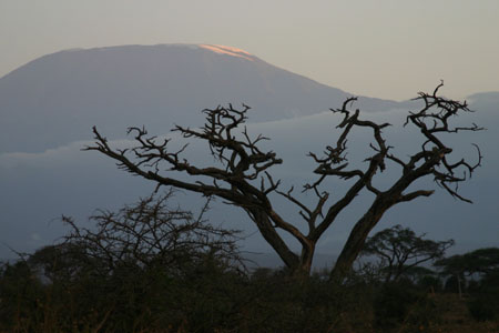 Le Kilimandjaro