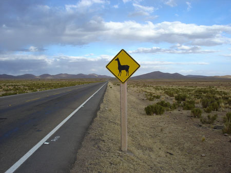 Chaque pays a ses signaux: le lama