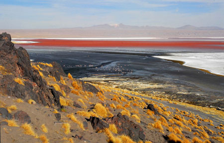 Laguna colorada