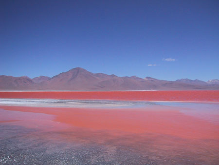 Laguna colorada