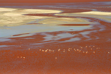 Laguna colorada
