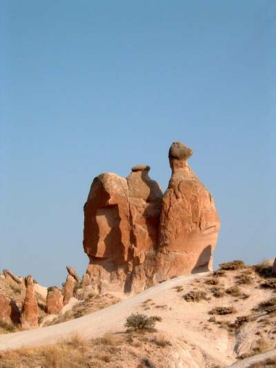 Le chameau de roche
