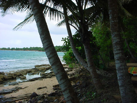 Plage � Sainte Rose