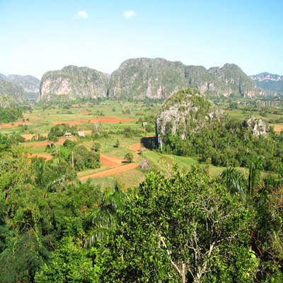Vall�e verdoyante