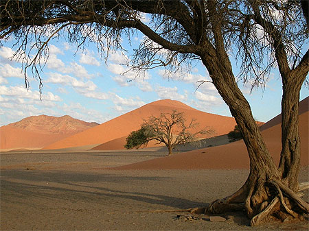 D�sert namibien