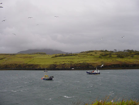 Ile sauvage 