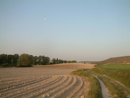 Vers Castrogeriz