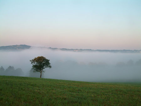 Lever de brume