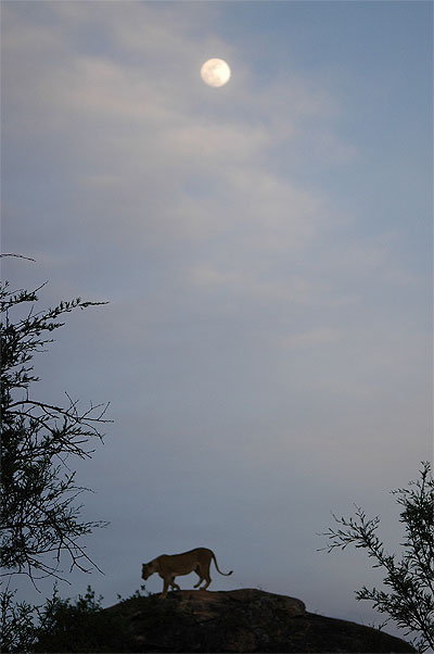 Promenade au clair de lune