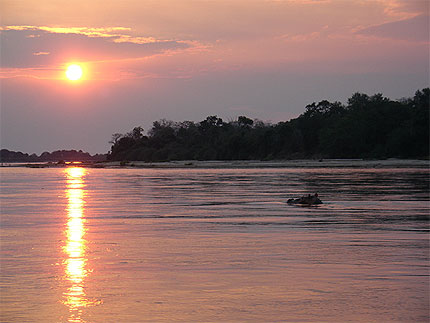 Fin de journ�e au Selous