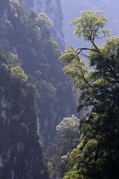Merveilles du lac Cheow Lan dam