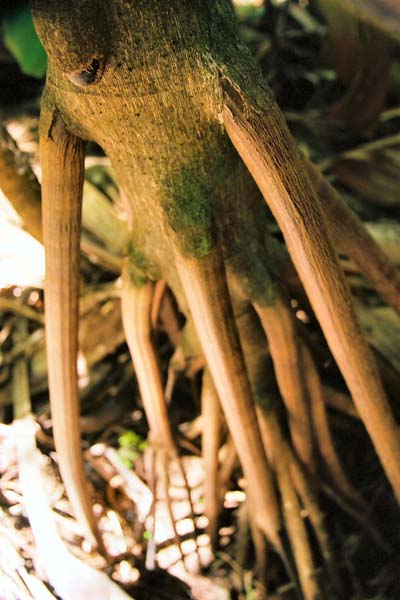 Seychelles