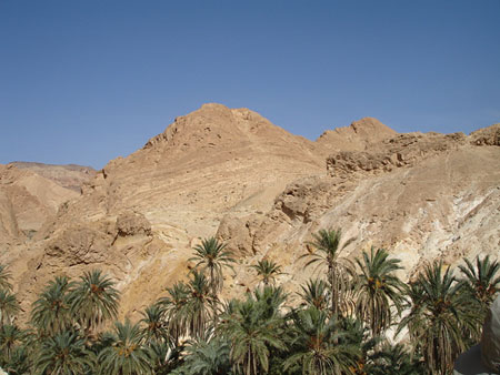 Oasis de Chebika