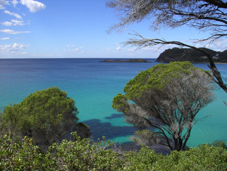 Eau �meraude de Seal Rocks