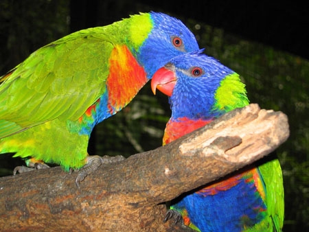 Confidences