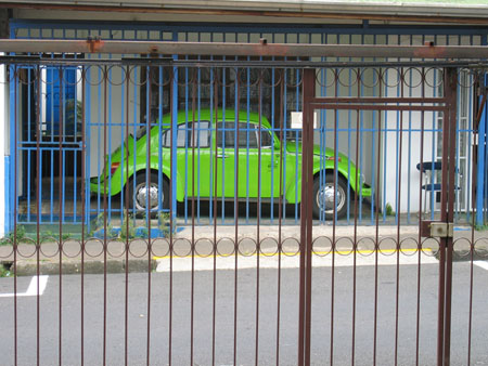 Coccinelle en cage