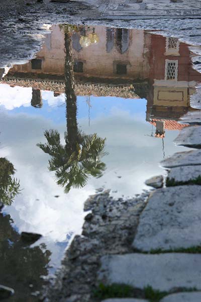 Sur les pav�s, le reflet