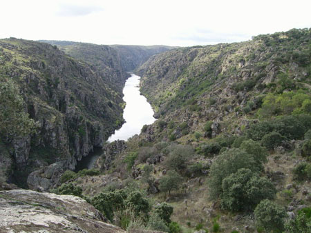 Vue sur le Douro