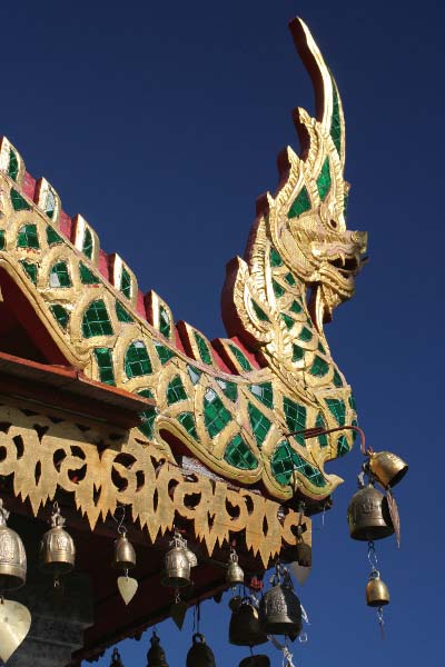 Le dragon au bout du toit