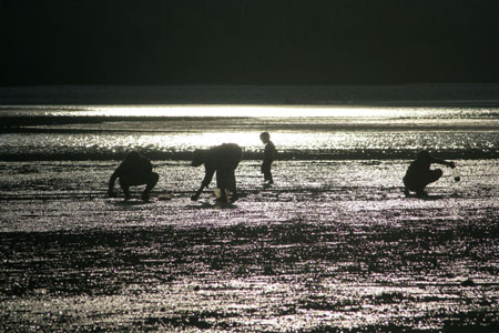 Ramasseurs de coquillages au cr�puscule