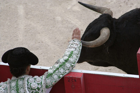 Le torero et le toro