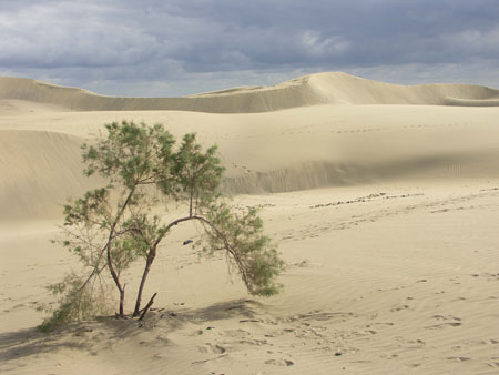 Dunes