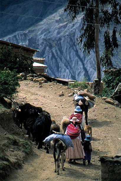 La Palca, village au nord de La Paz