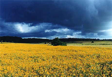 Paysage sur la route de Pindaya