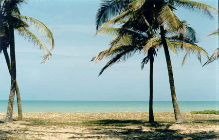 une plage au benin