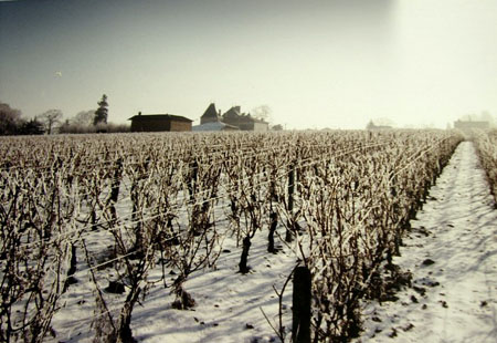 Vigne et Ch�teau � Loch�-M�con
