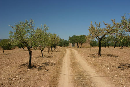 Chemin