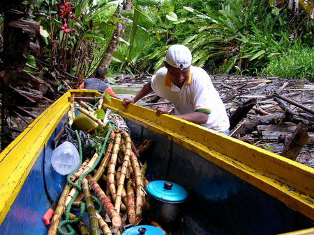 Navigation sur le rio Domingodo en pleine jungle colombienne
