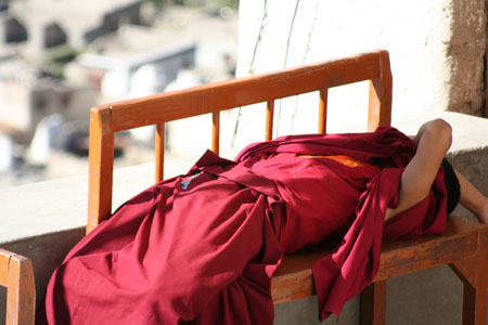 Moine au repos