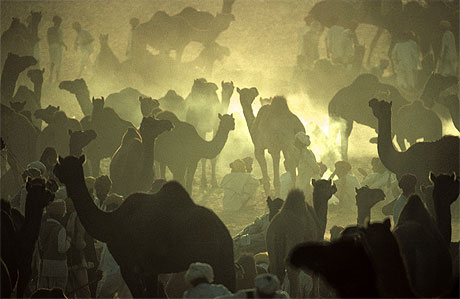 Fum�es sur pushkar