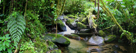 Rio � los Quetzales