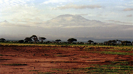 Au pied du Kilimanjaro