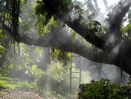 Brume inattendue: r�ve de Broc�liande